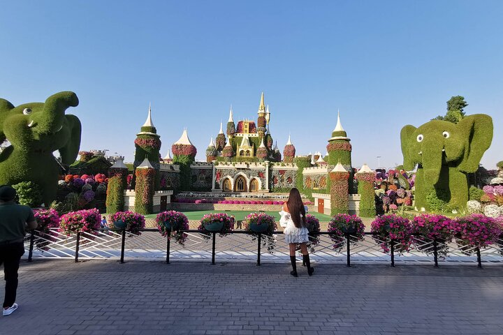 Explore a world of colorful flowers and stunning topiary where whimsical sculptures and floral artistry create a breathtaking backdrop for unforgettable moments in Dubai Miracle Garden.